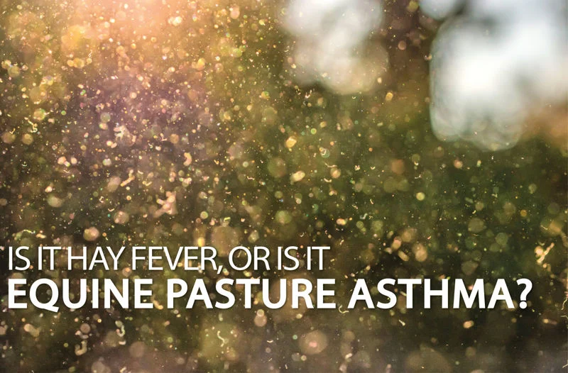 Equine Science Matters™ – Equine Pasture Asthma