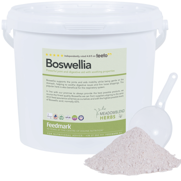 Boswellia