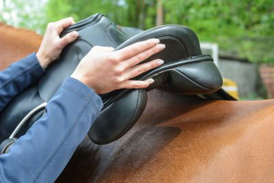 Placing saddle on horse 